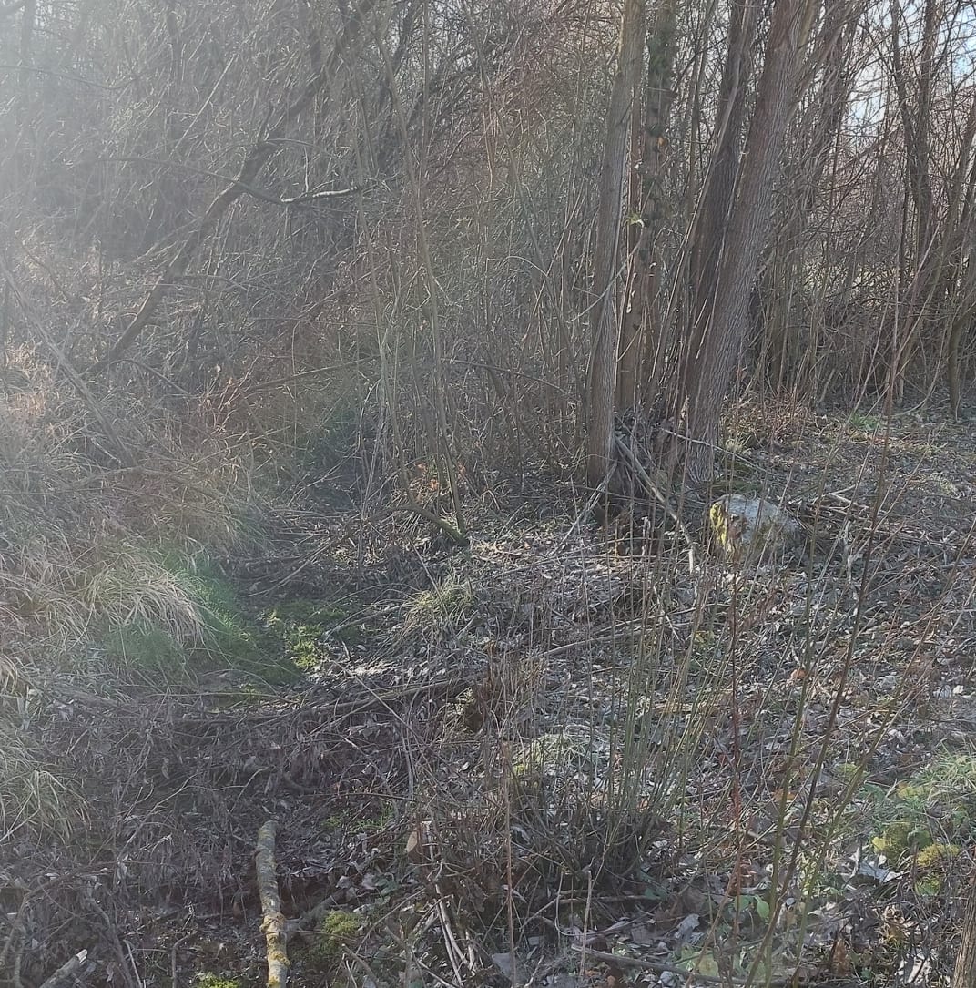 275360586 710983696567813 5442906066170900801 n