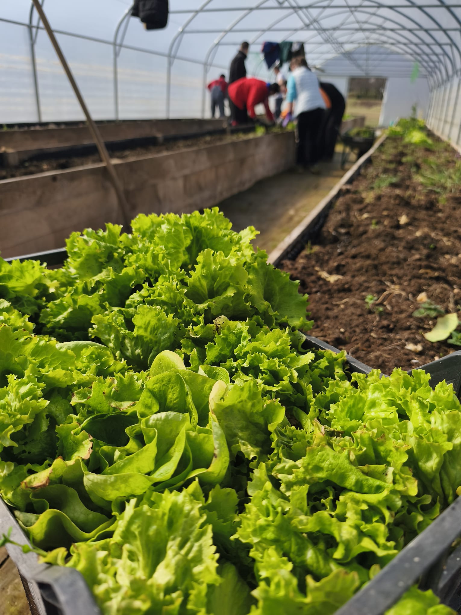 480324980 689716420065293 7220262805368331690 n