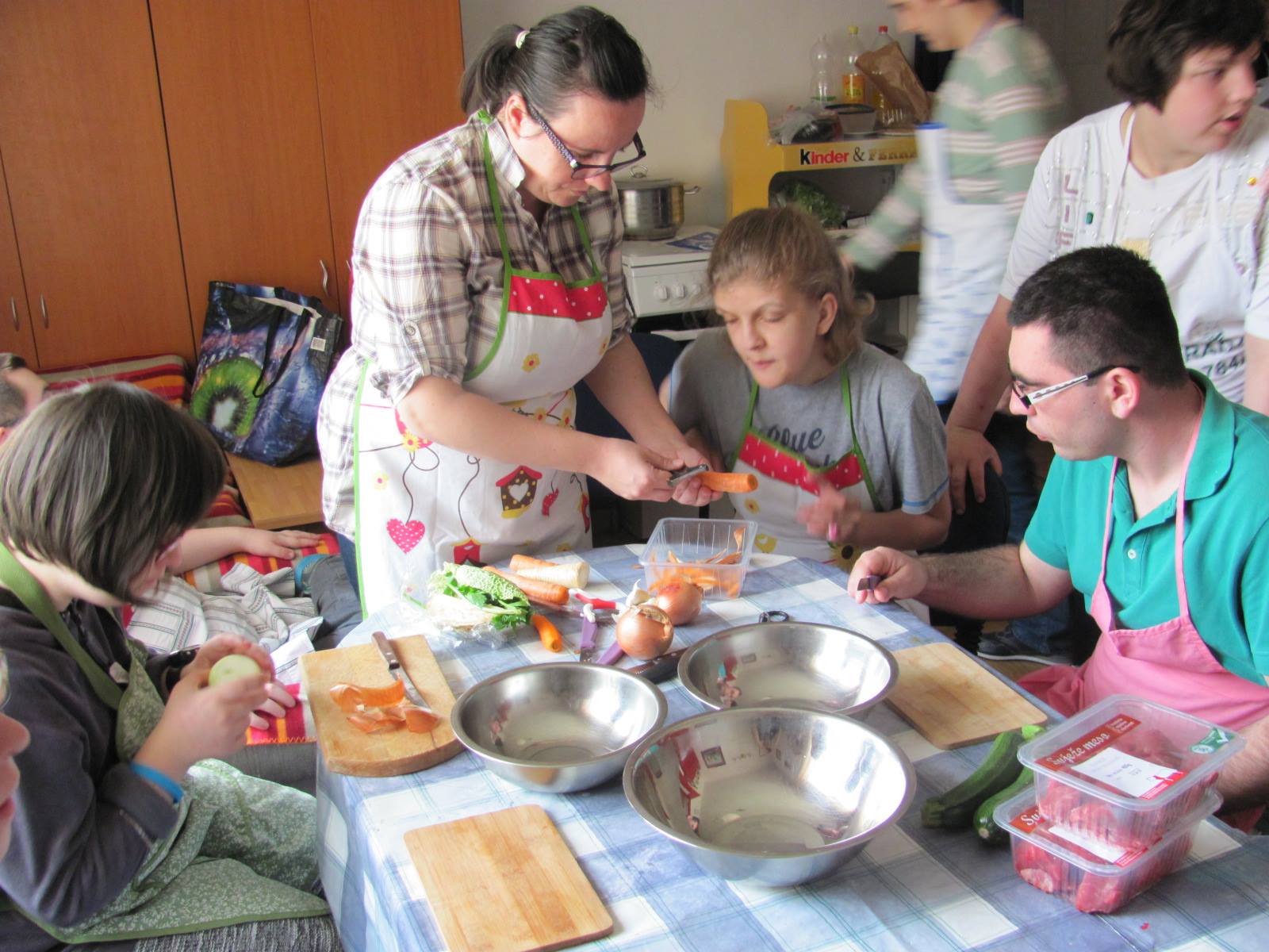 Domaćinstvo u Maloj kući projekt MZO