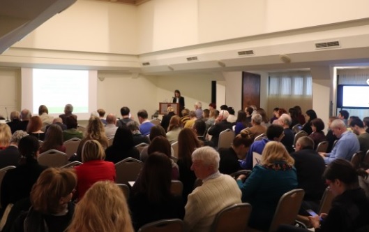 institucionalna podrška NZRCD